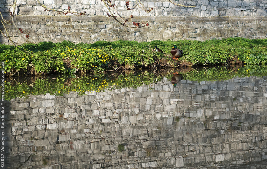 photo from slideshow