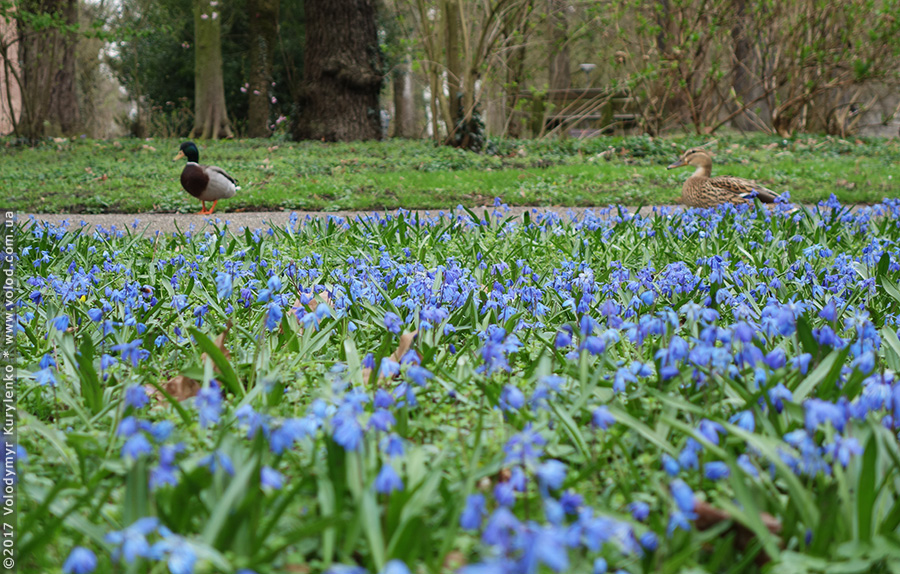 photo from slideshow