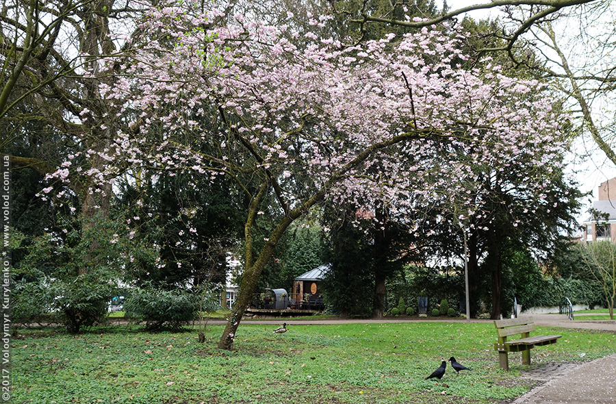 photo from slideshow