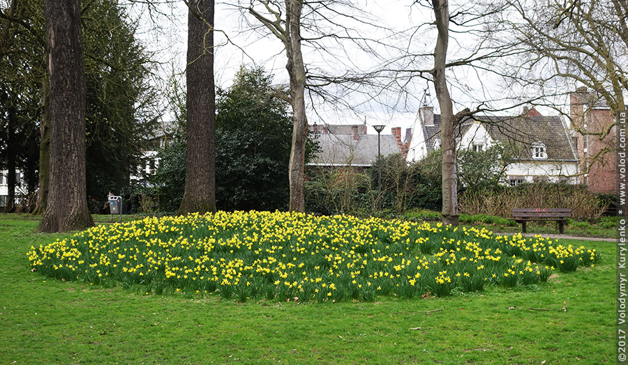 photo from slideshow