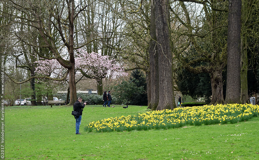 photo from slideshow