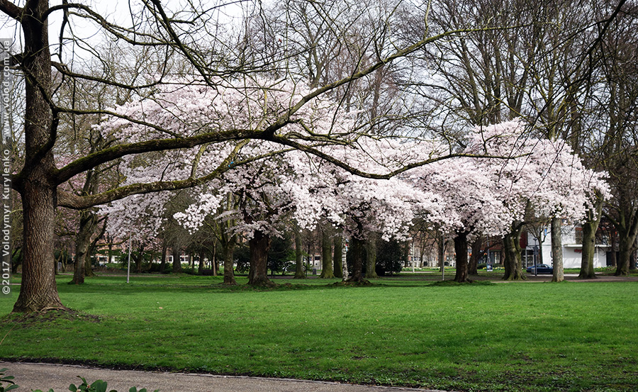 photo from slideshow