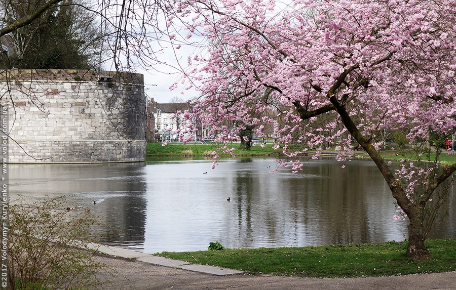 photo from slideshow