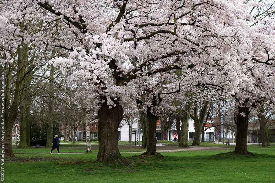 photo from slideshow