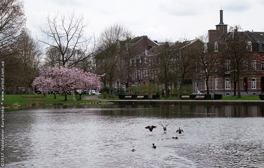 photo from slideshow