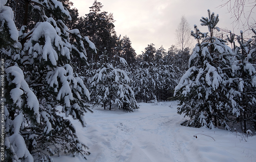 photo from slideshow