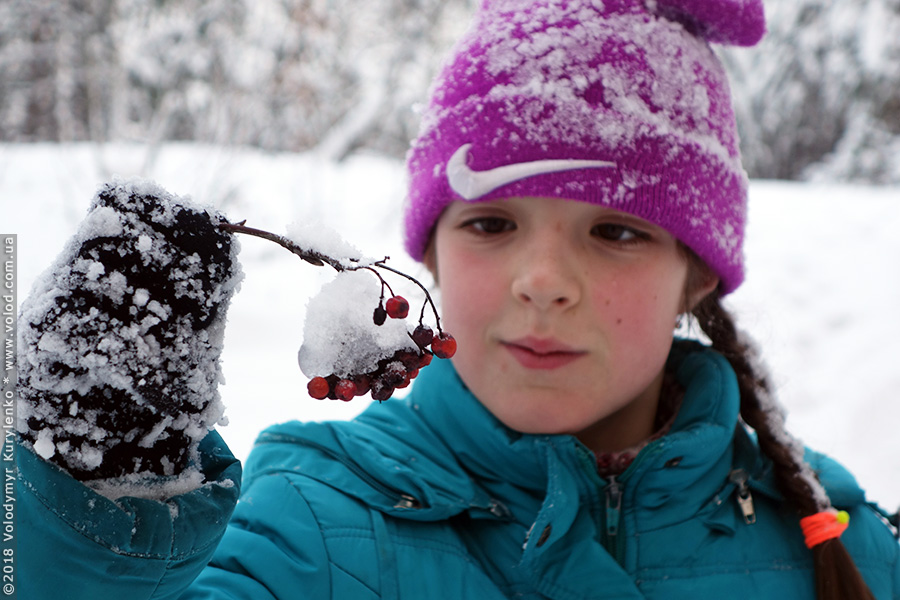 photo from slideshow