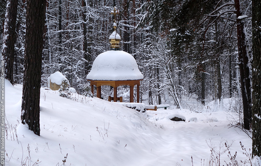 photo from slideshow