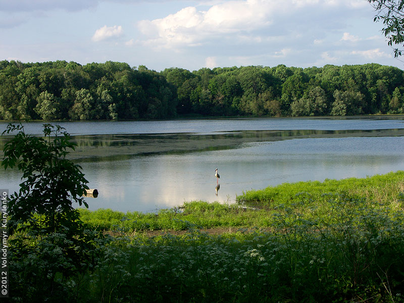 photo from slideshow