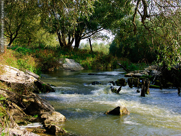 photo from slideshow