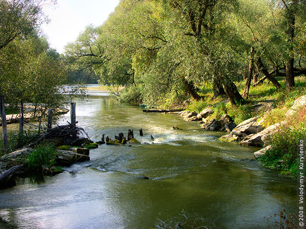 photo from slideshow
