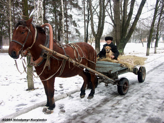 photo from slideshow