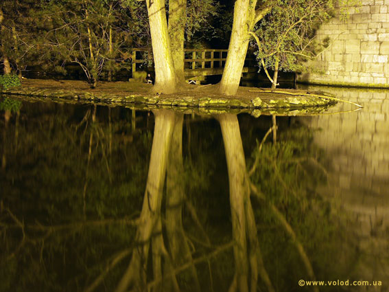 photo from slideshow