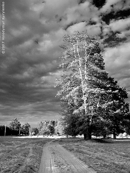 photo from slideshow